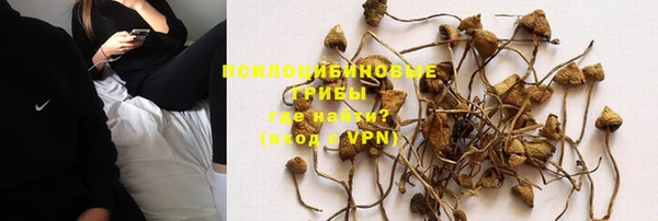 spice Арсеньев