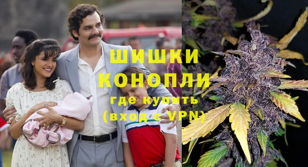 spice Арсеньев