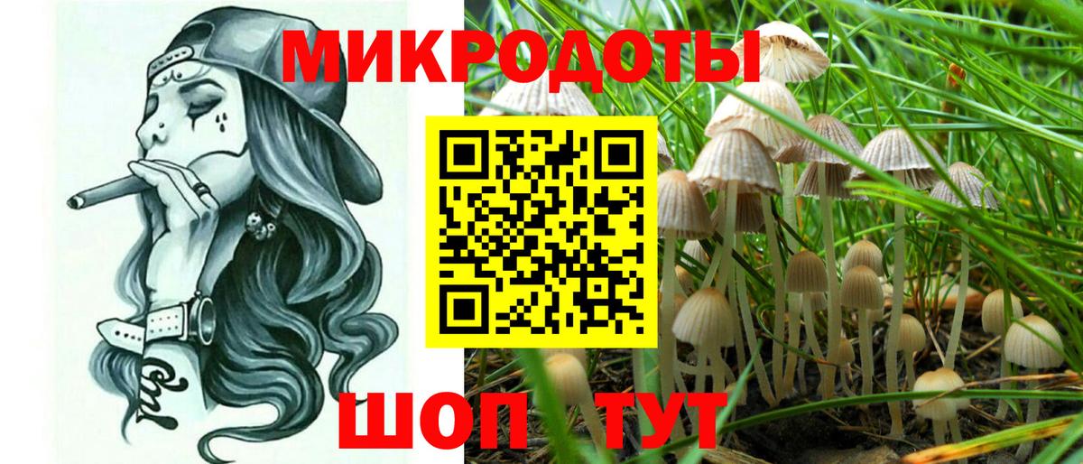 Псилоцибиновые грибы MAGIC MUSHROOMS Белово