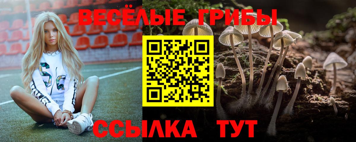 Псилоцибиновые грибы Psilocybe  Вход с VPN  Псилоцибиновые грибы прущие грибы  Белово 