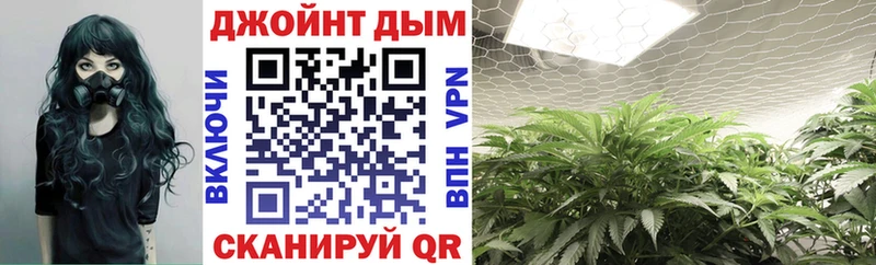где купить наркотик  Белово  Бошки марихуана ГИДРОПОН 